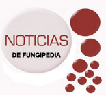 images/stories/noticias-fungipedia.jpg
