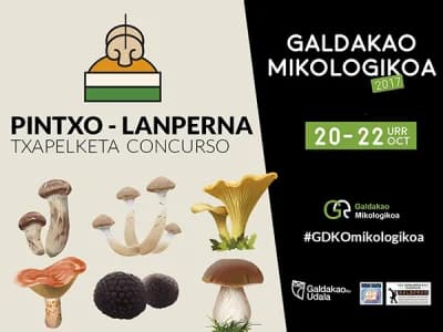 50 Aniversario de las Jornadas Micológicas de Bizkaia