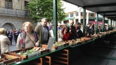 XLIX Jornadas Micológicas de Bizkaia