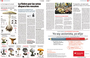 Aplicaci&oacute;n Fungipedia en El Correo
