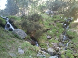 juan jo