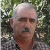 Avatar de Jose Luis Solano