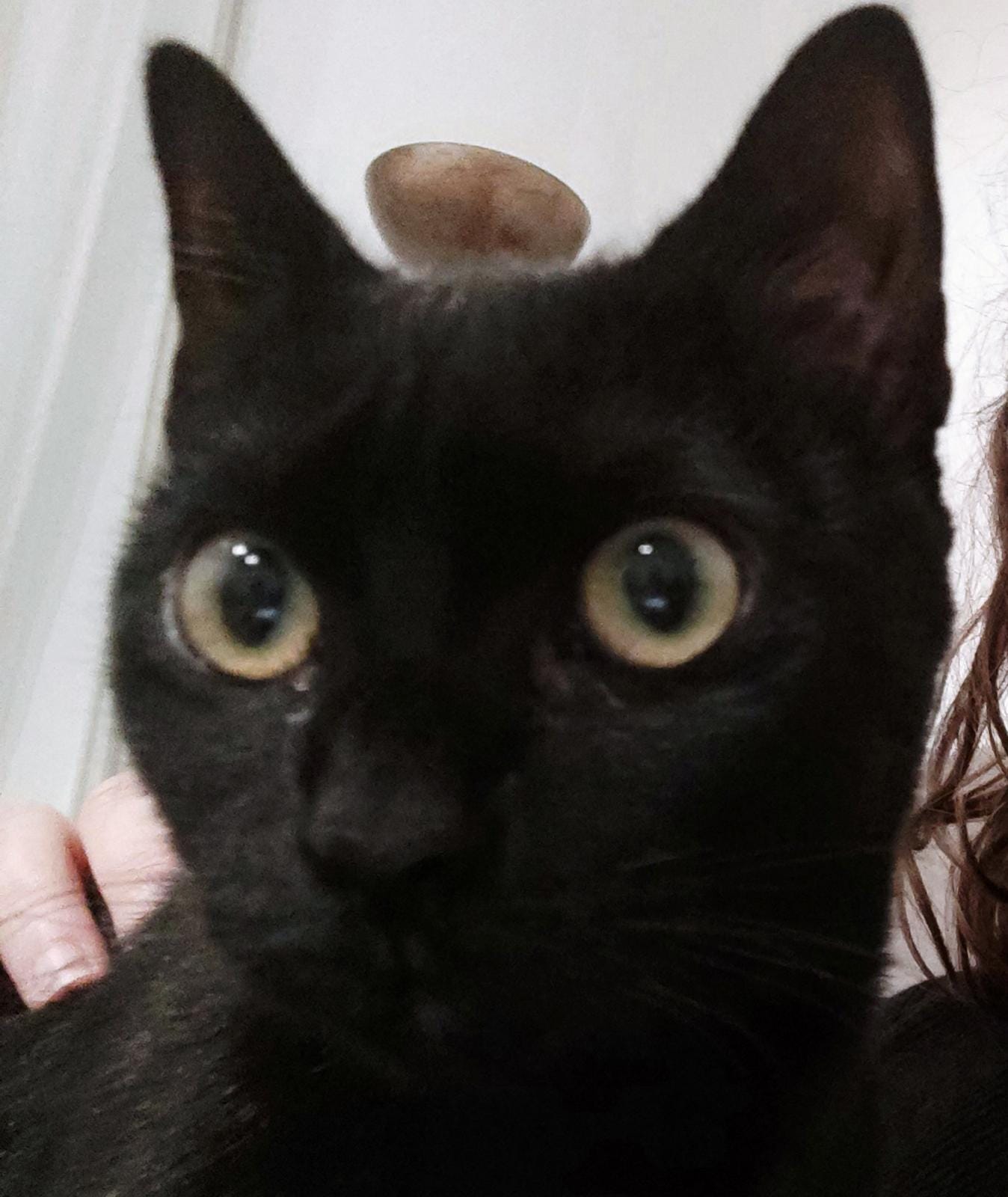 Alejandro