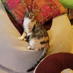 Lilian