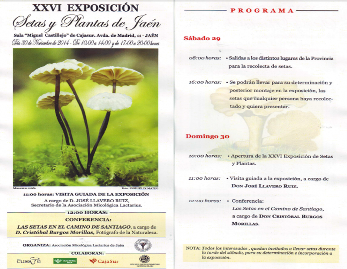 XXVI Exposición Setas y Plantas de Jaén