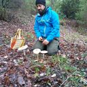 Buenas noches.Pues estas fotos son de ayer, cerca de Jimena de la Frontera. Cogimos los primeros Lactarius de la temporada, algunas Lepista nuda y Macrolepiotas. Un saludo.