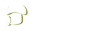Asociación Micológica Fungipedia