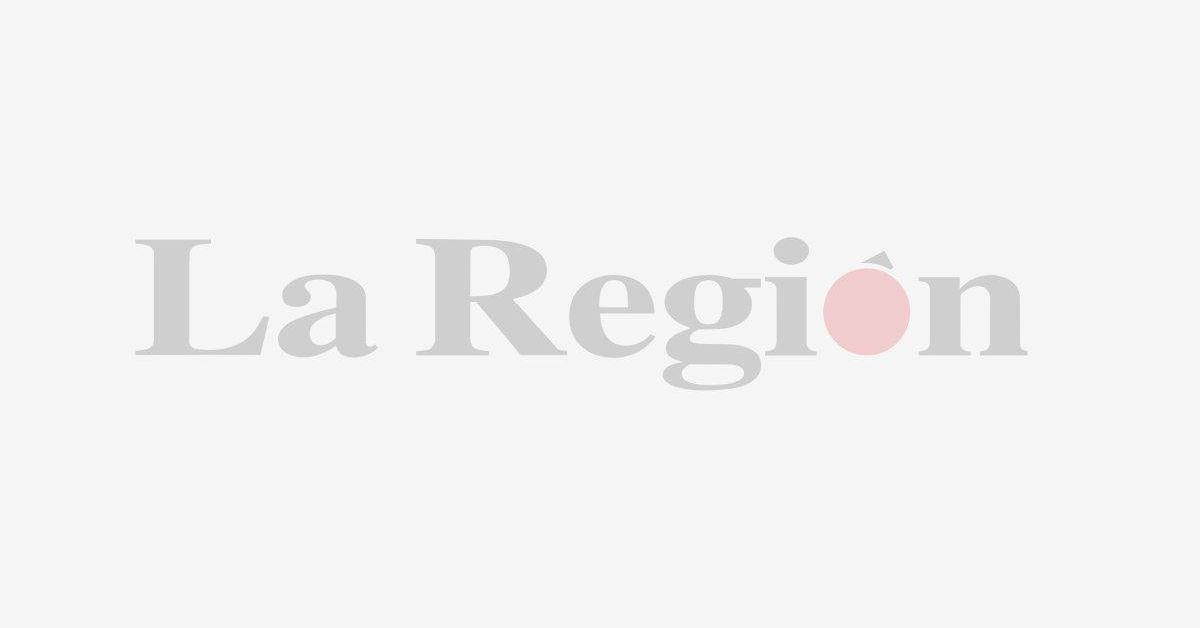 Infografía | Empieza la temporada de setas otoñales en Ourense