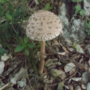 011