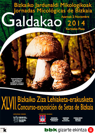 XLV Jornadas Micológicas de Bizkaia