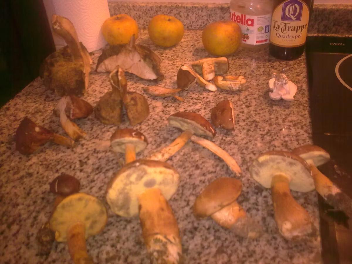 Adjunto