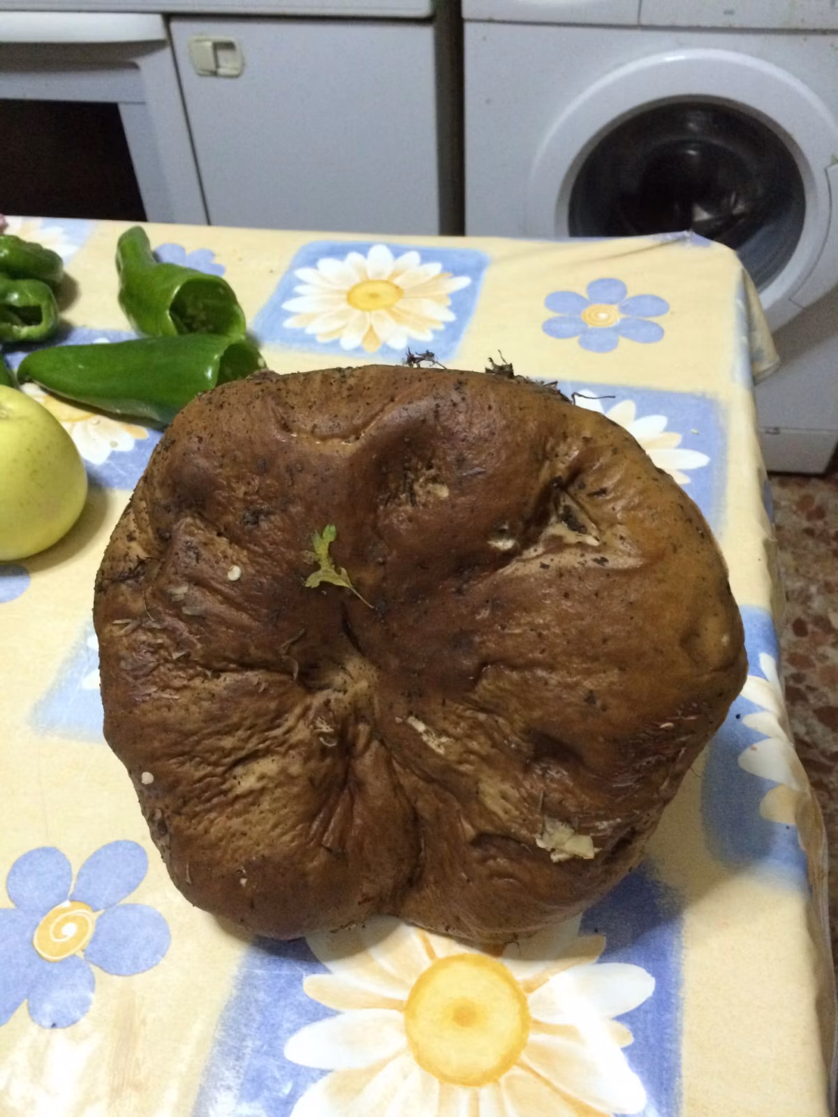 Adjunto
