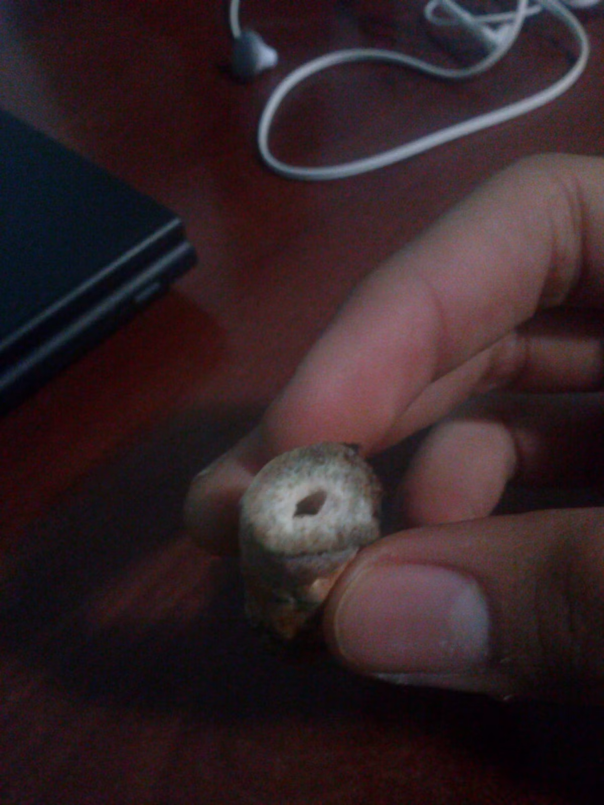 Adjunto