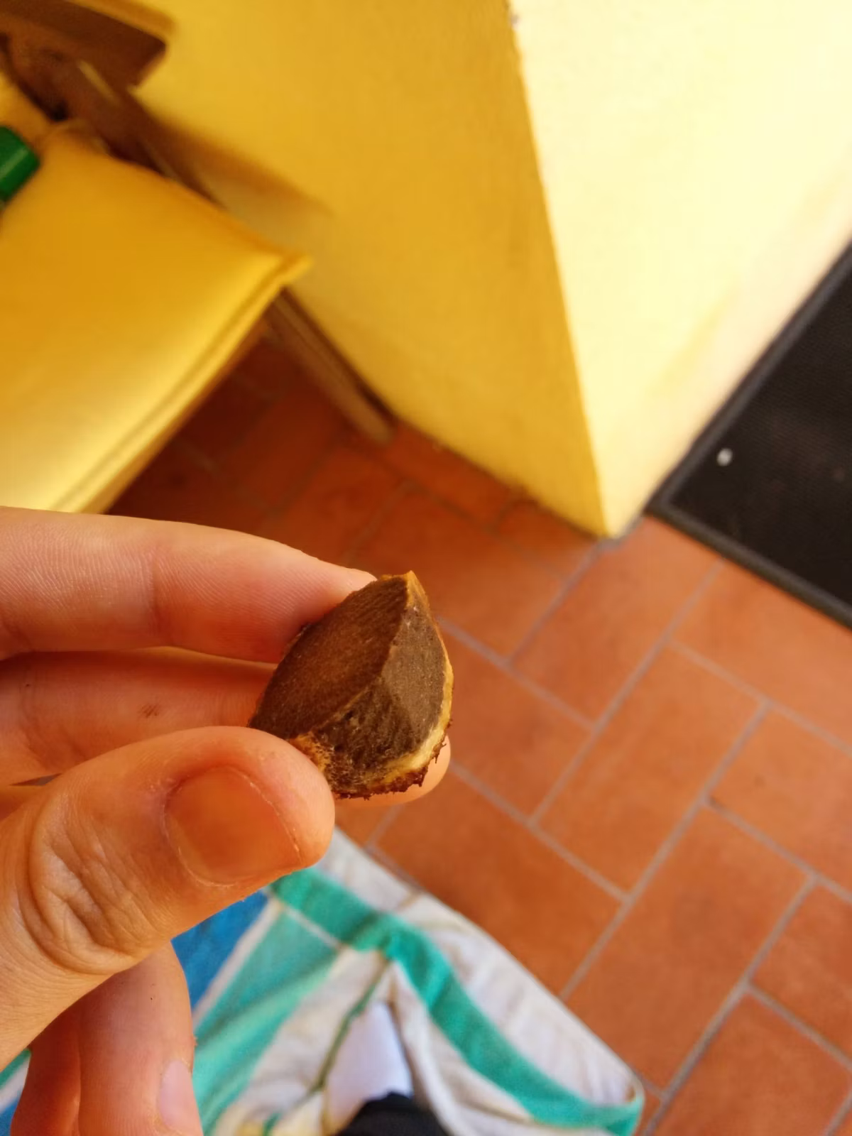 Adjunto