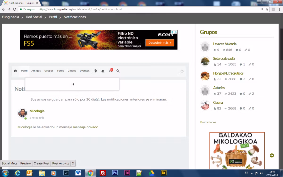 Adjunto