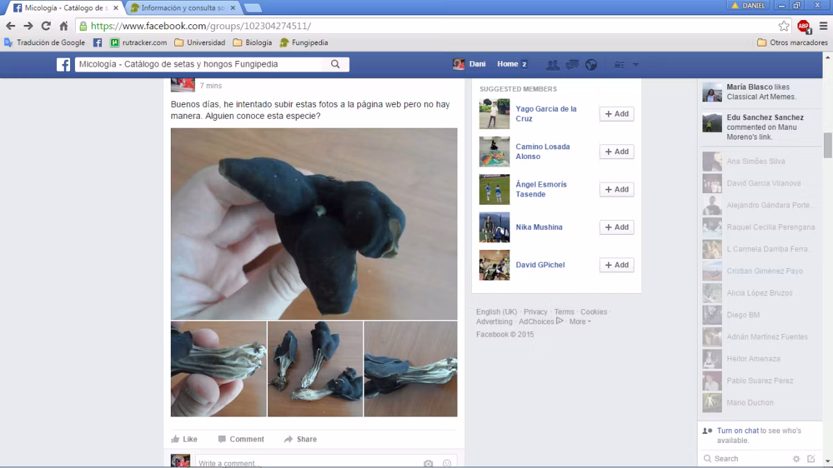 Adjunto