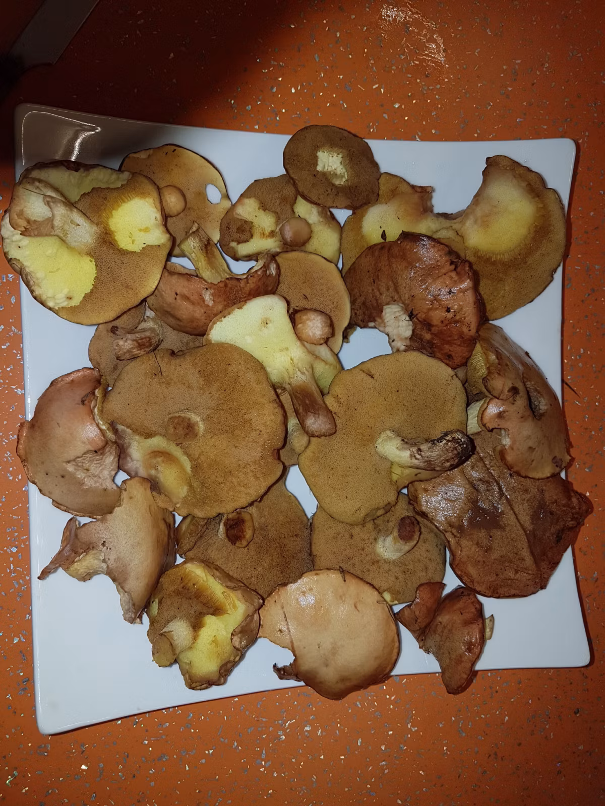 Adjunto