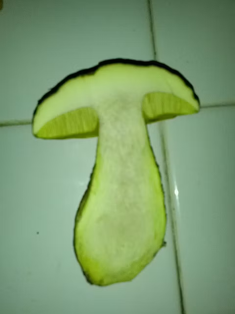 Adjunto