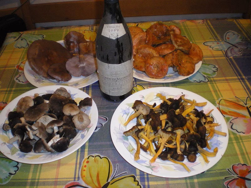 Adjunto