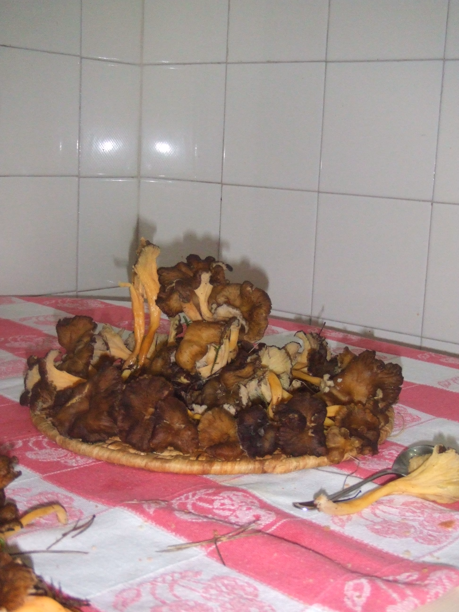 Adjunto