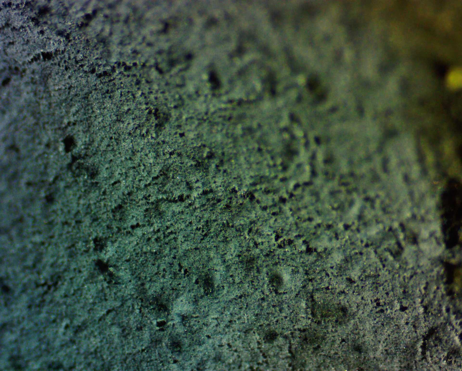 Byssocorticium atrovirens - 40x
