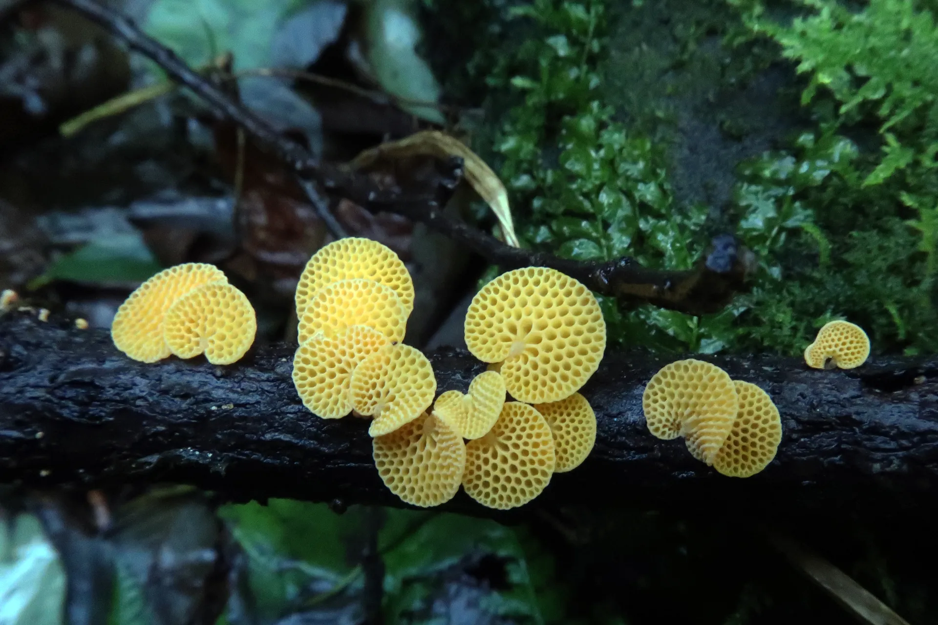 1-